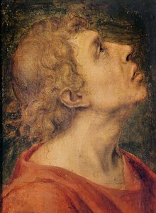 Aziz John the Evangelist (tahta üzerine yağlı boya)
